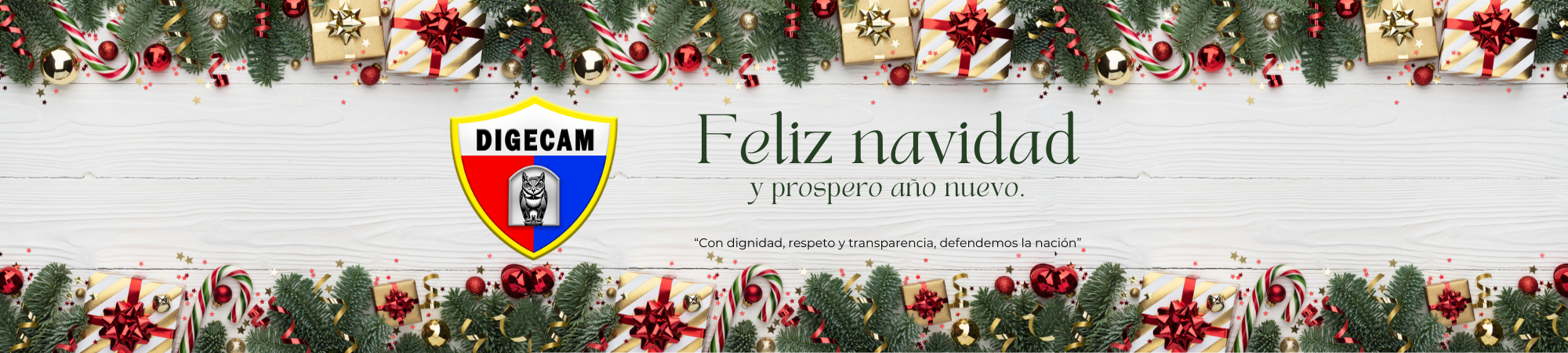 Feliz Navidad DIGECAM
